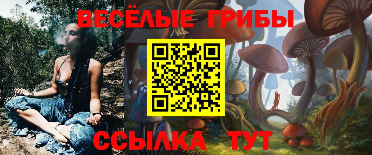 Псилоцибиновые грибы прущие грибы Богородицк